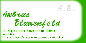 ambrus blumenfeld business card